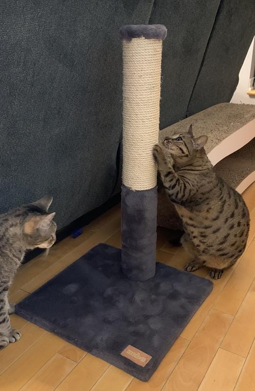 How to make a cat scratching post