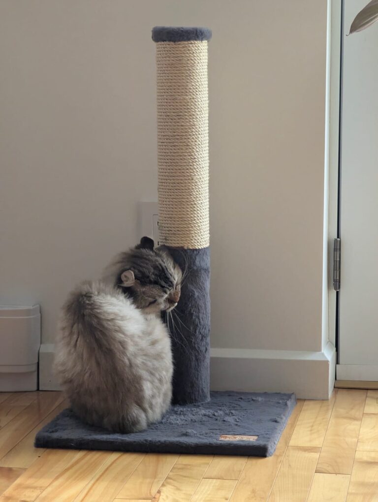 28-inch Cat Scratching Post